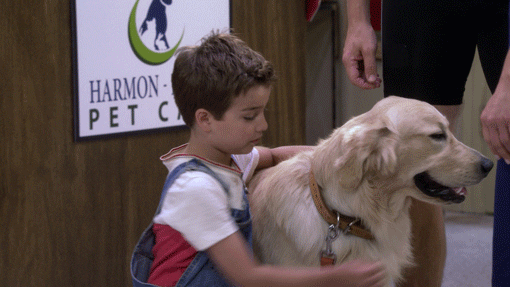 Fuller House Kid Hugging A Dog GIF