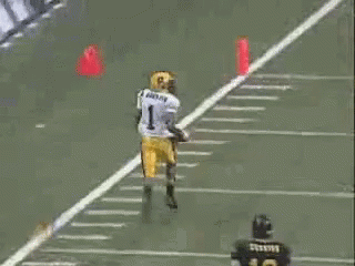 Fumble Desean Jackson Touchdown GIF