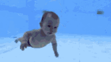 Fun Baby Swimming GIF
