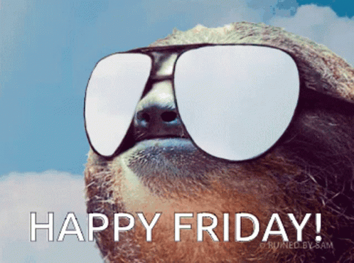 Fun Friday Cool Sloth GIF