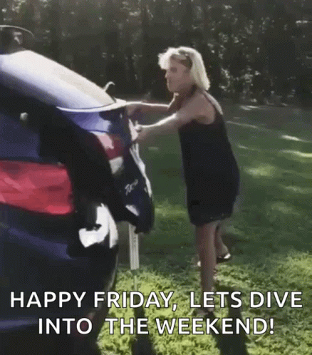 Fun Friday Dog Water Dive GIF