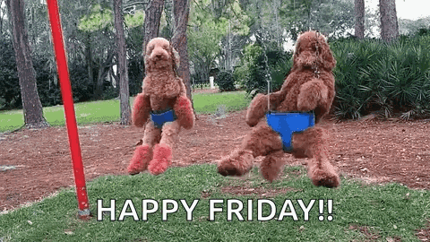 Fun Friday Dogs Swinging GIF