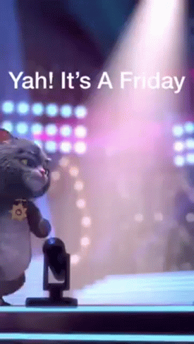 Fun Friday Performing Cat GIF