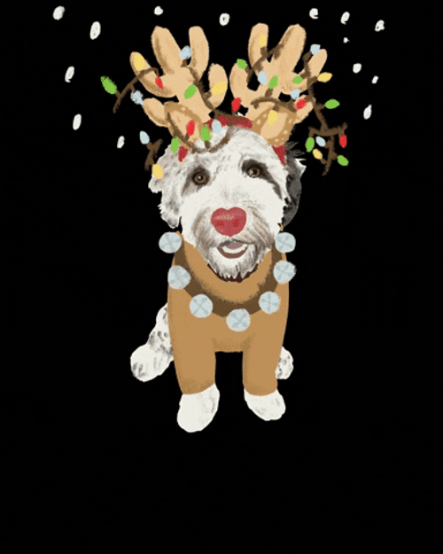 Fun Sleigh Bells Christmas Dog GIF