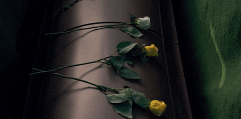 Throwing Flower Funeral Stranger Things Scene GIF