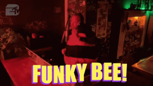 Funky Bee Meme GIF