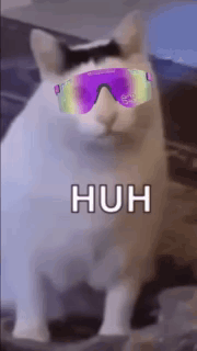 Funky Huh Cat Meme GIF