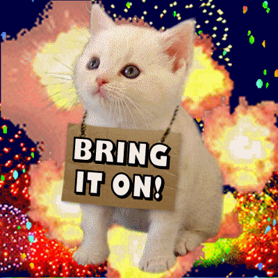 Funny 4th Fireworks Brave Kitty GIF