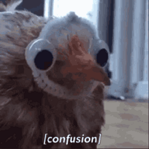 Funny And Confused Fake Turkey Face GIF