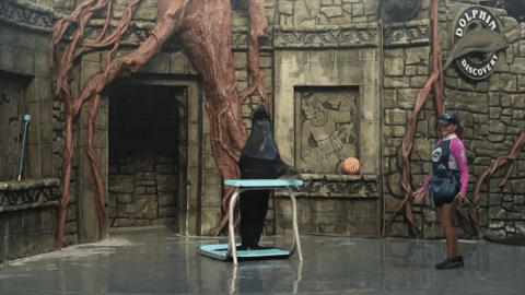 Funny Animal Dancing Penguin GIF