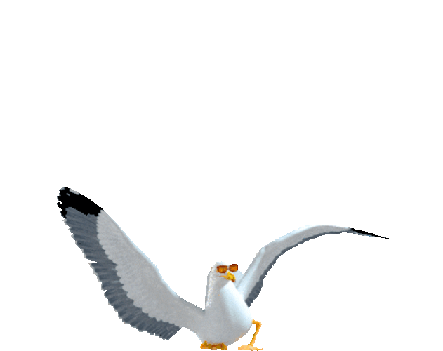 Funny Animated Seagull Party Dance Sticker GIF