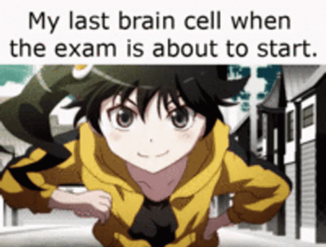 Funny Anime Exam Meme GIF 
