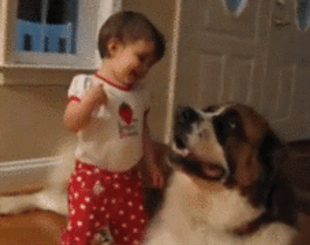 Funny Baby Hugging Big Dog GIF