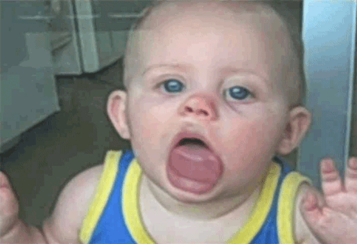 Funny Baby Licking Glass Wall GIF