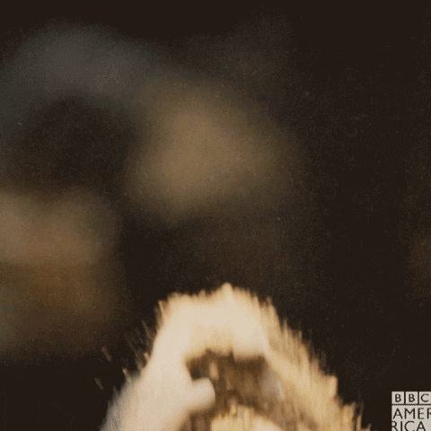 Funny Baby Monkeys Playing With Sand GIF