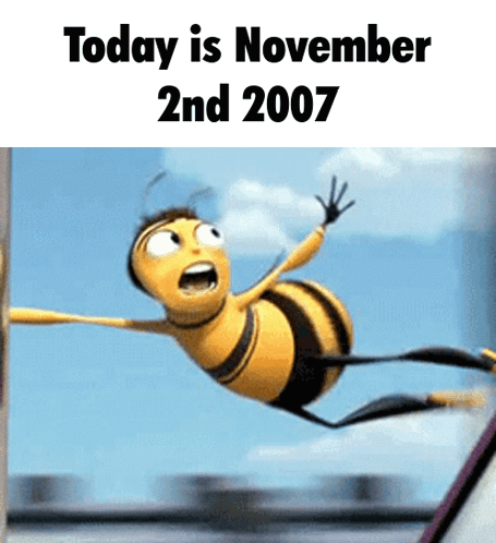 Funny Bee Movie November 2nd GIF