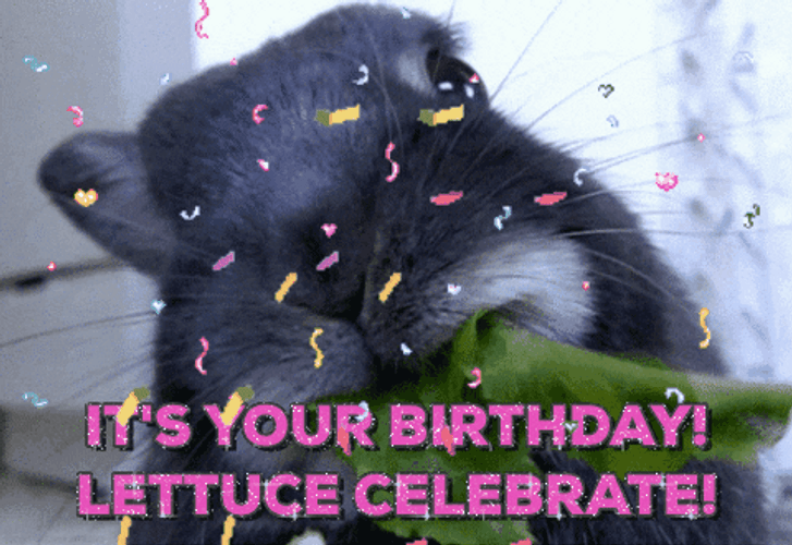 Funny Birthday Lettuce Celebrate Rat GIF