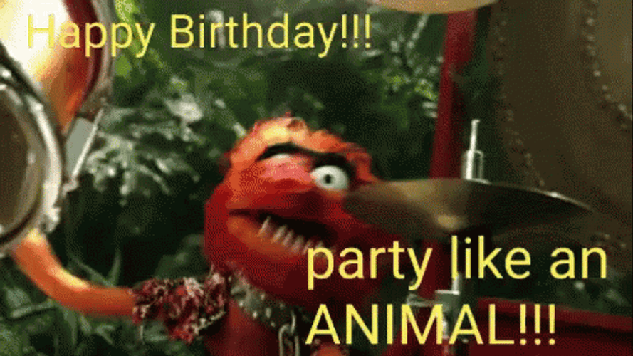 Funny Birthday Muppets Party Animal GIF