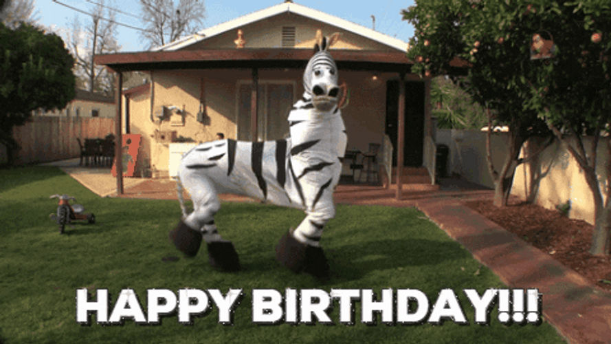 Funny Birthday Zebra Dance GIF