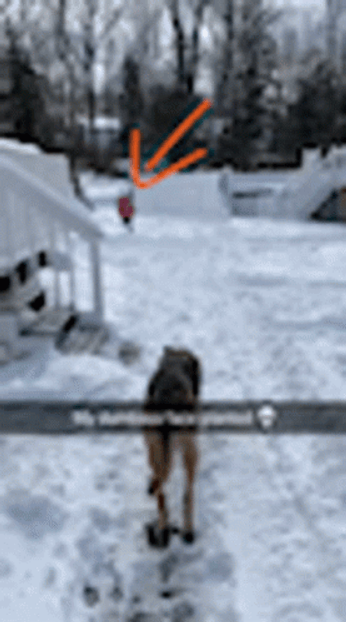 Funny Blizzard Snow Run Fail GIF