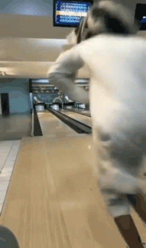 Funny Bowling Football Gutter Ball GIF