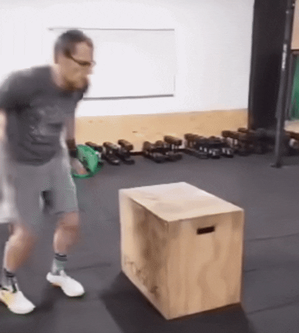 Funny Box Jumping Falling Fail GIF