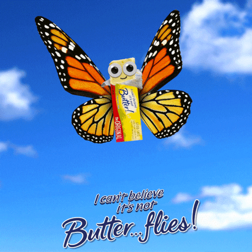 Funny Butterflies Stick Flying GIF