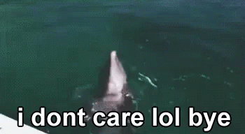 Funny Bye Dolphin Tail Walking GIF