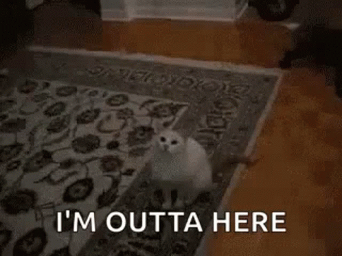 Funny Bye White Cat Jumping In Two Paws GIF