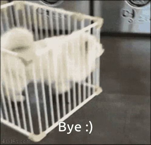 Funny Bye White Dog In A Cage Leaving GIF