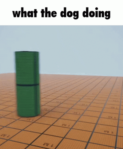 Funny Caption Dog Meme GIF