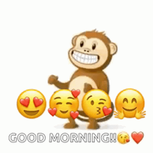 Funny Cartoon Monkey Good Morning GIF