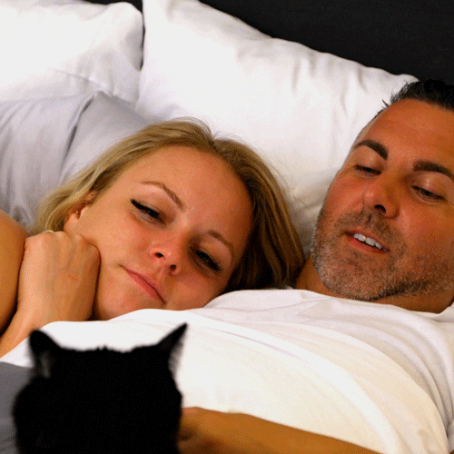 Funny Cat Goodnight Sneaking In Bed GIF