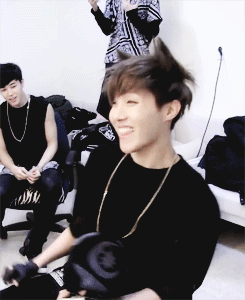 Funny Cat Jhope GIF