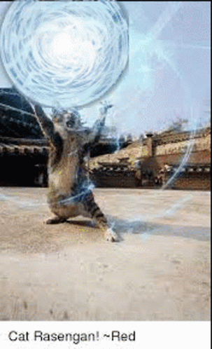 Funny Cat Rasengan Rasencat GIF