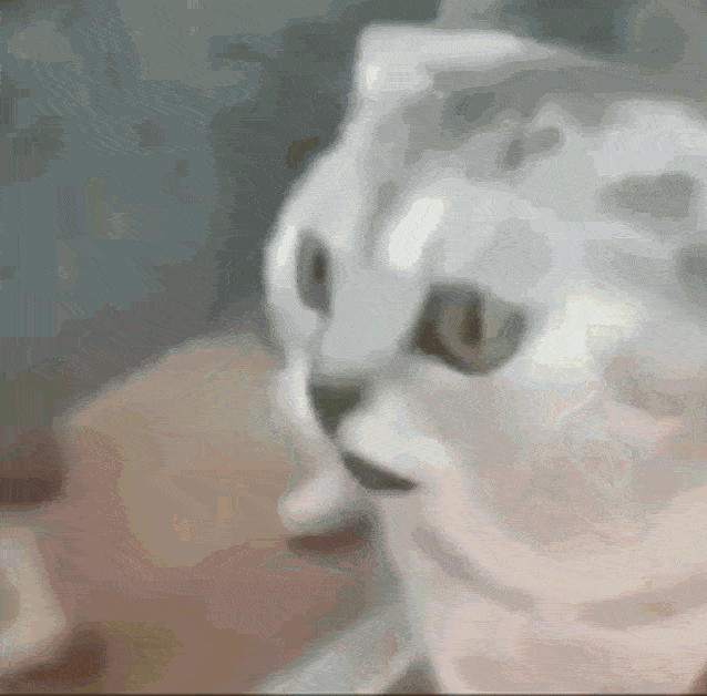 Funny Cat Shocked Of Its Reflection GIF