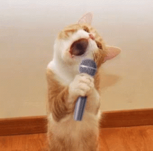 Funny Cat Singing With Mic GIF 