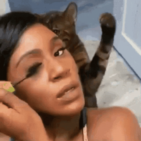Funny Cat Smack Hitting Lady GIF