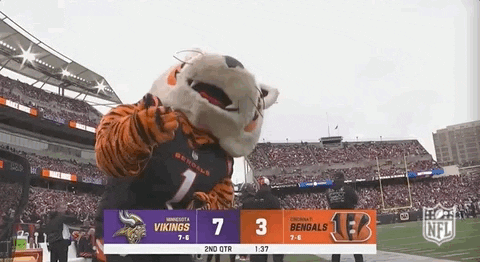 Funny Cincinnati Bengals Mascot GIF