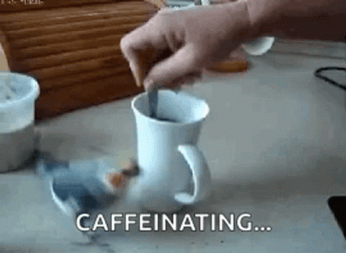 Funny Coffee Spinning Bird Caffeinating GIF