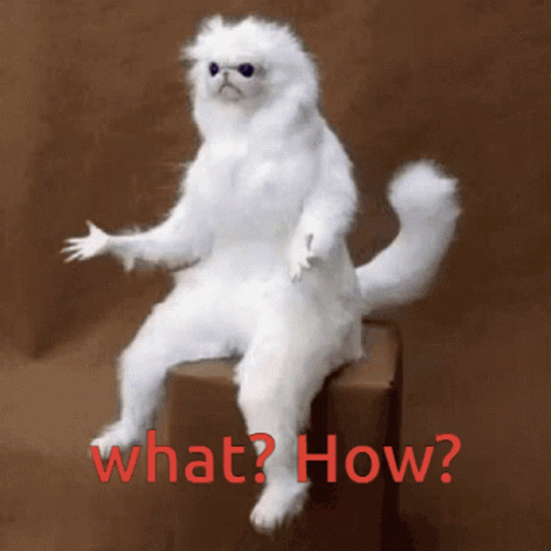 Funny Confused White Cat What How Meme GIF