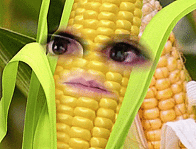 Funny Corn In A Cob Face App GIF