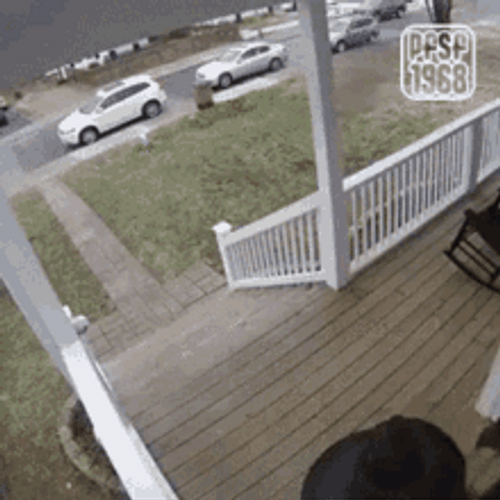 Funny Couple Slipped Falling Down Stairs GIF