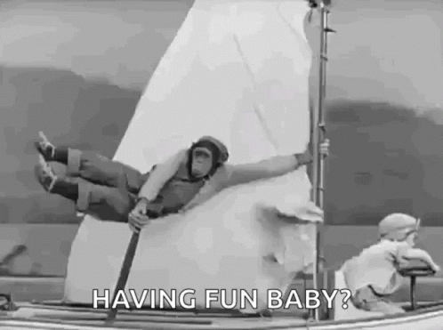 Funny Cruise Flying Monkey GIF