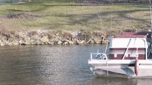 Funny Cruise Live Band GIF