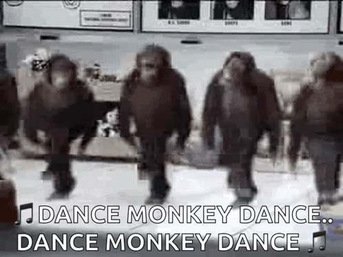 Funny Dancing Dance Monkeys GIF