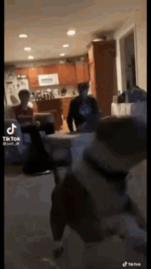 Funny Dog Doing A Flip GIF