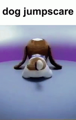 Funny Dog Jumpscare Toy GIF