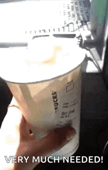 Funny Dog Meme Eating Starbucks GIF