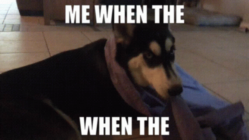 Funny Dog Meme Feeling Cold GIF